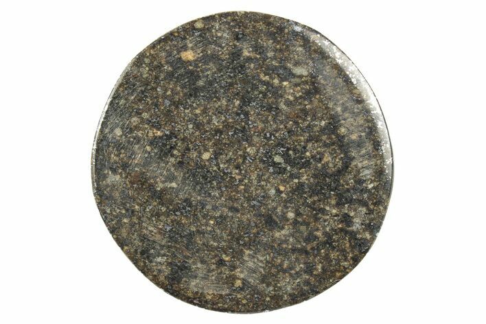 Stony Chondrite Cabochon ( g) - Meteorite #238226